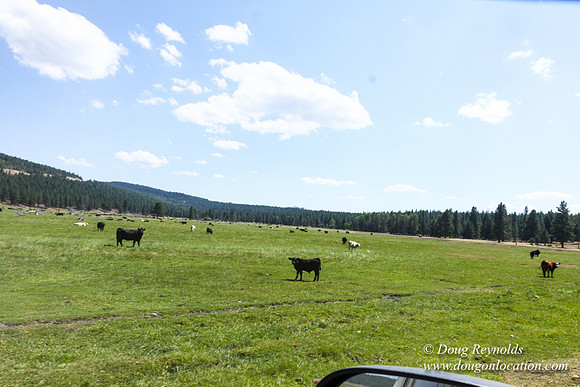 Ranch 18