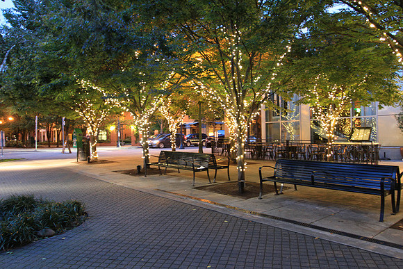 Jamason Park-6540