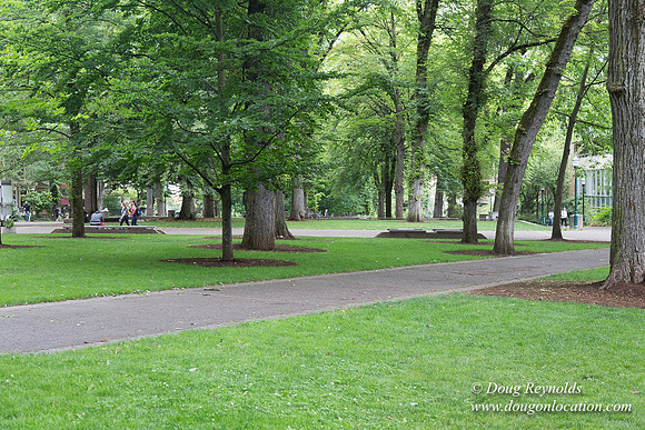 Portland Streets