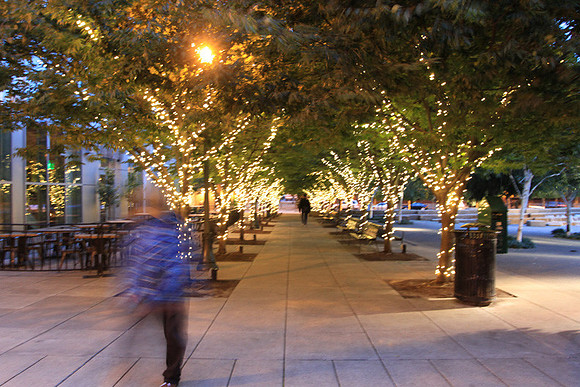 Jamason Park-6536