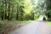 Saddle Mt Rd-0299