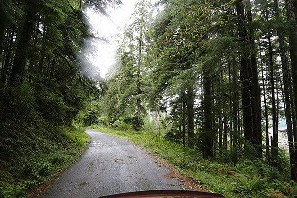 Saddle Mt Rd-0342