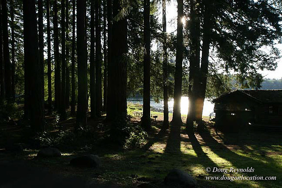Roslyn Cabin