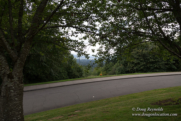 Council Crest Park View