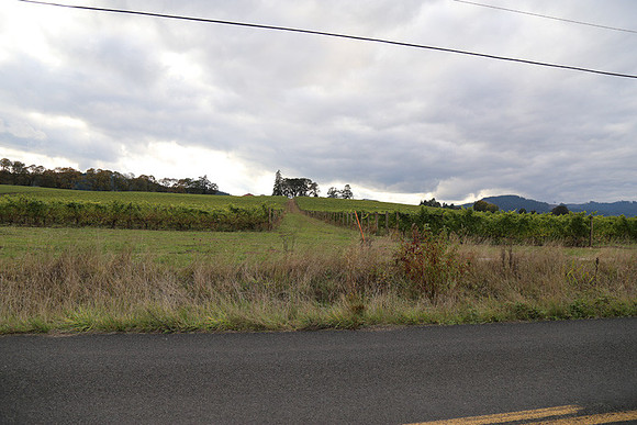 Dilly Rd-1507