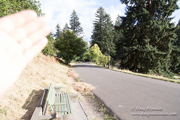 Mt Tabor- View 4 West