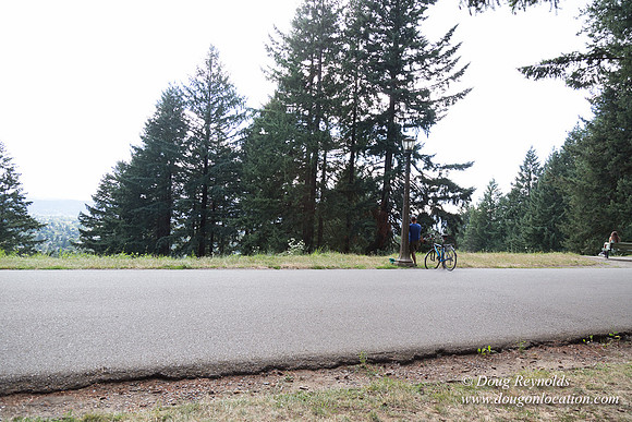 Mt Tabor Top- View 3 West