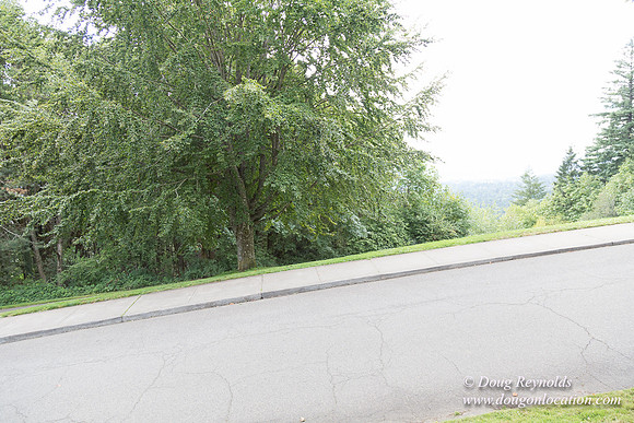 Council Crest Park View