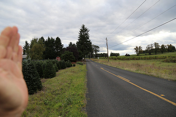 Dilly Rd-1503