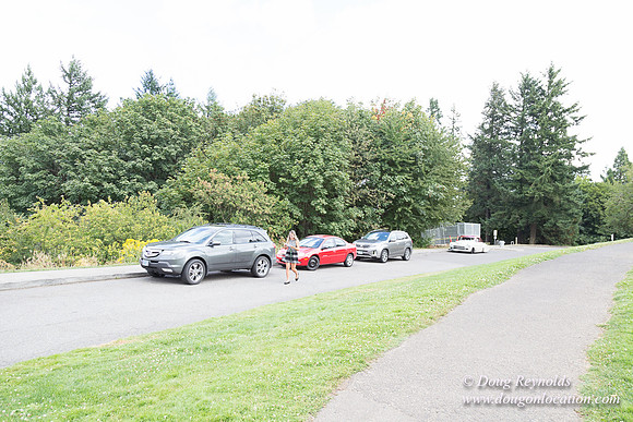 Council Crest Park View