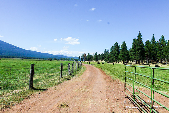 Ranch 18