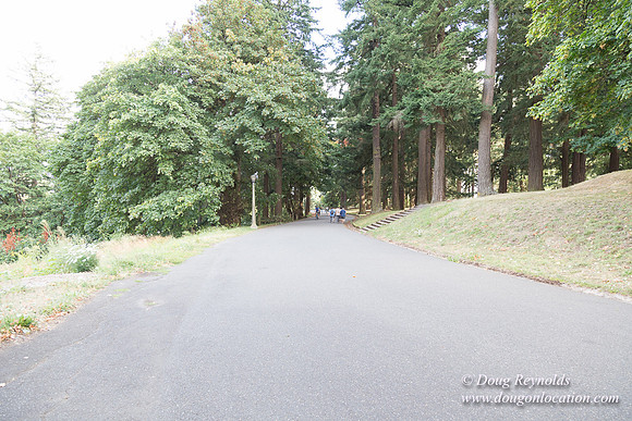 Mt tabor View 2 East