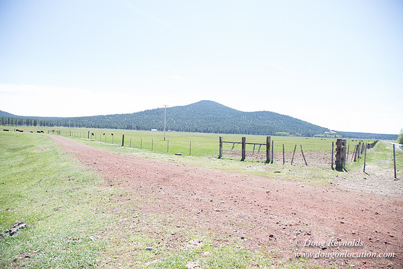 Ranch 18