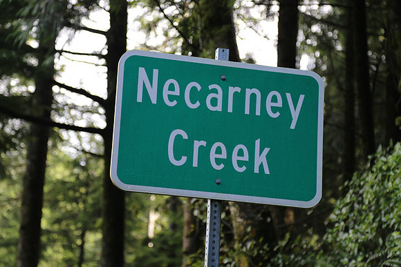 Necarney Cr 101 Brdg-1106