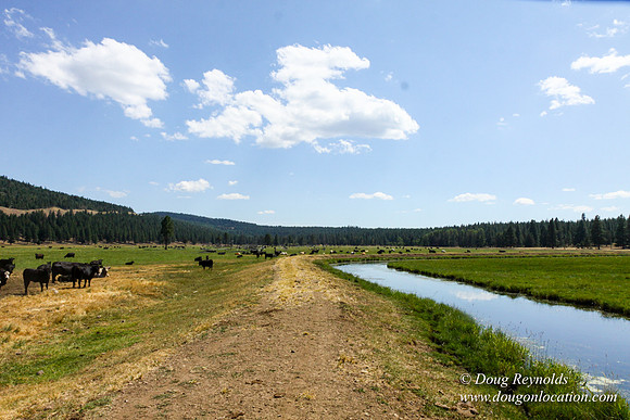 Ranch 18