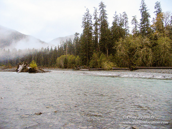 WA River 6