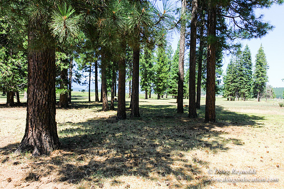Ranch 18