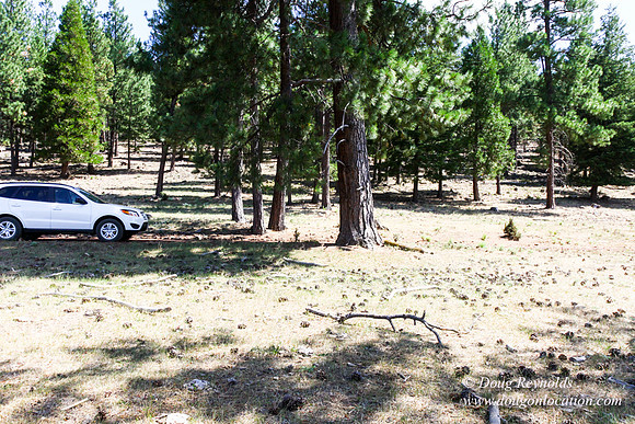 Ranch 18