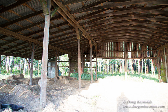 LCG & GWG Tree Farm