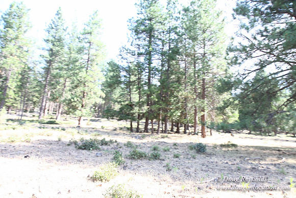 Ranch 18
