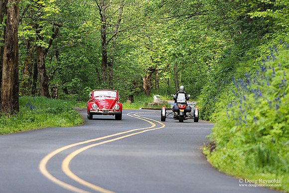 VW Bug & Spyder
