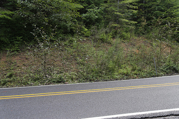 Hwy 53-0524