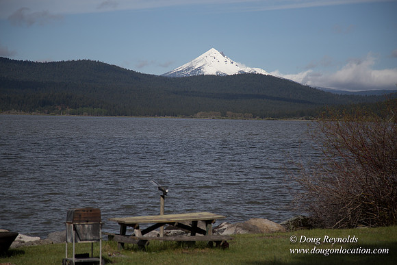 Ranch 18