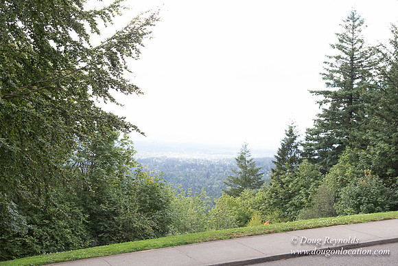 Council Crest Park View
