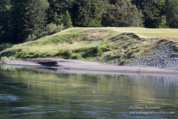 River 36 Running Wild