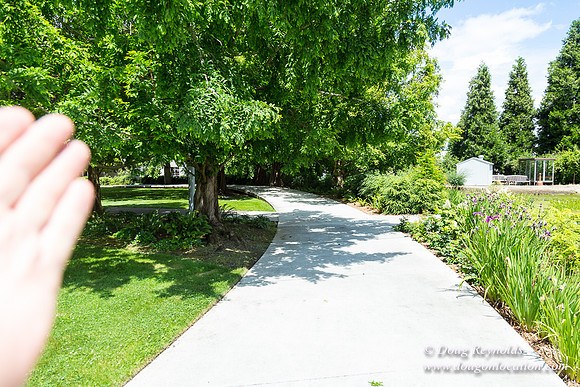 Columbia Blvd WW