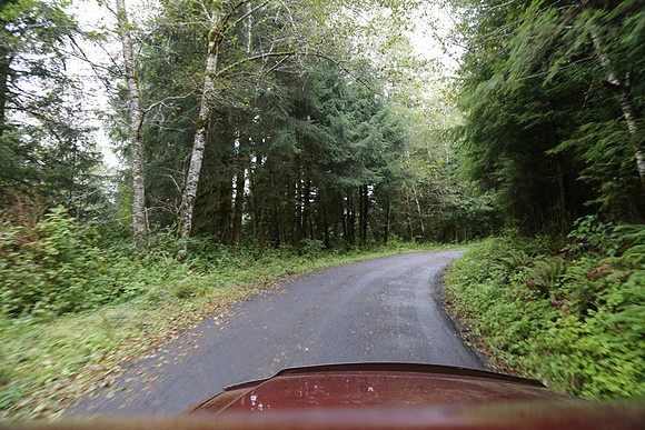 Saddle Mt Rd-0329