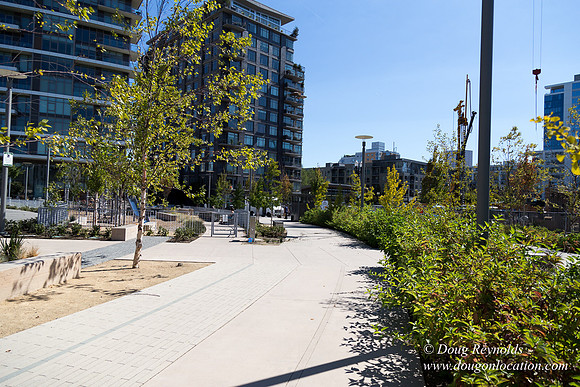 The Fields Neighborhood Park