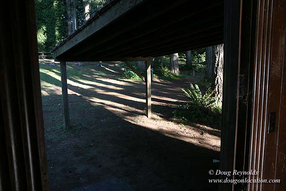 Roslyn Cabin