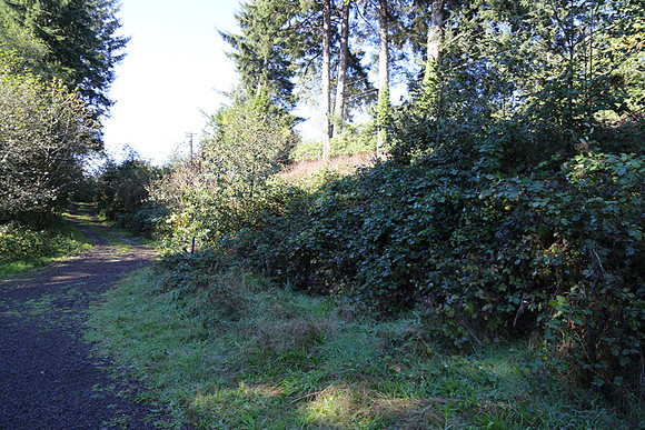 Neahkahnie Cr Rd-0885