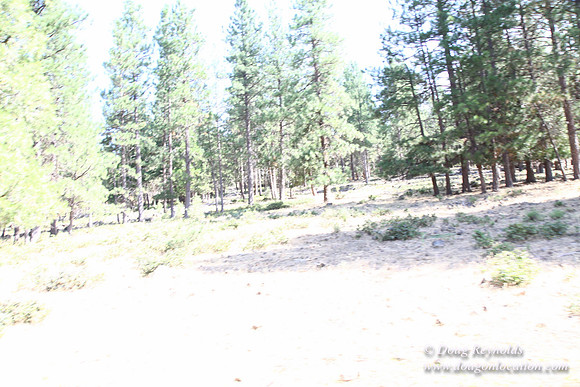Ranch 18