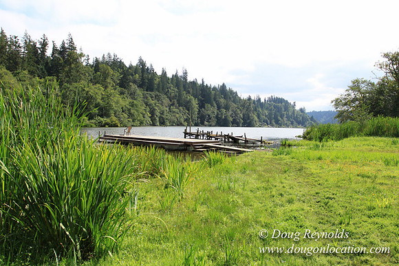 Roberts Lake House-4832