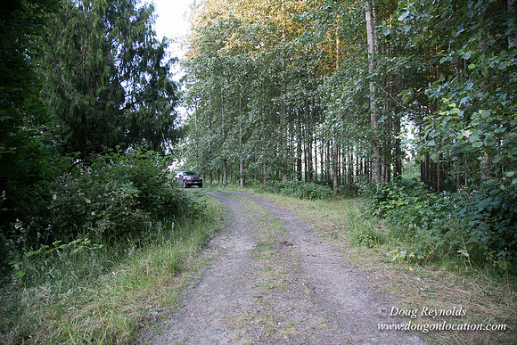 LCG & GWG Tree Farm