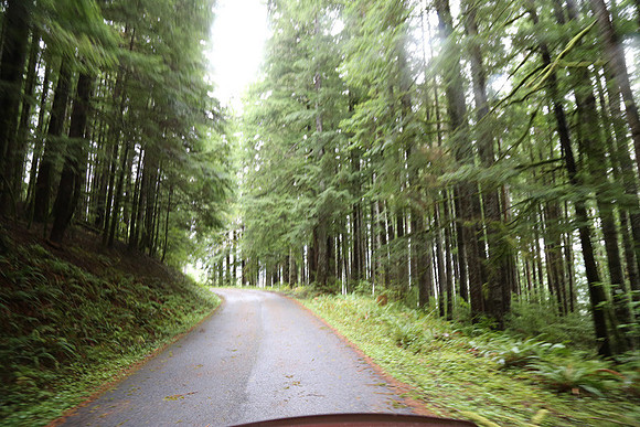 Saddle Mt Rd-0340