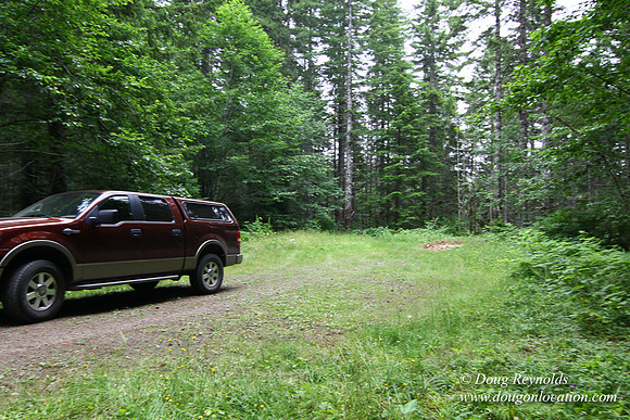 Tree & Forested locations