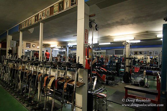 Work Out Gym #7