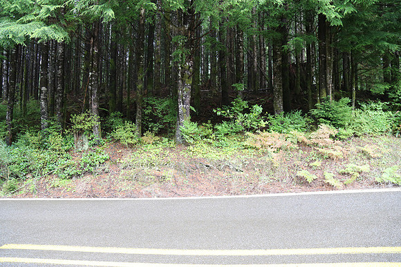Hwy 53-0391