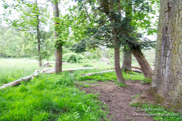 Ranch 21 at River