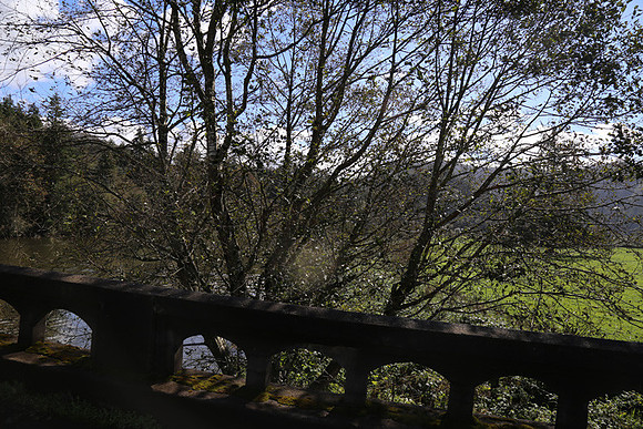 Hwy 53 Nehalem Brdg-1275