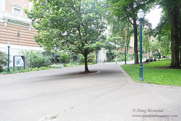 Portland Streets