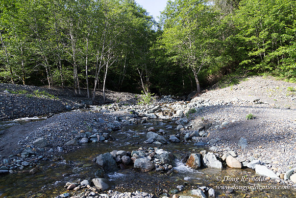 River 36 Running Wild