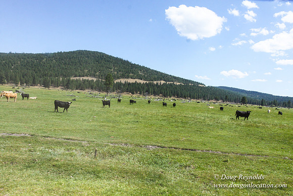 Ranch 18