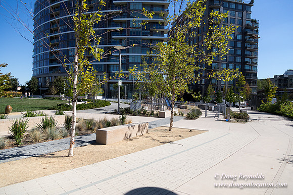 The Fields Neighborhood Park