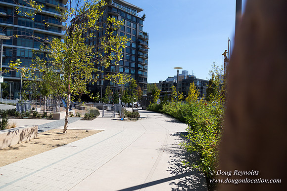The Fields Neighborhood Park