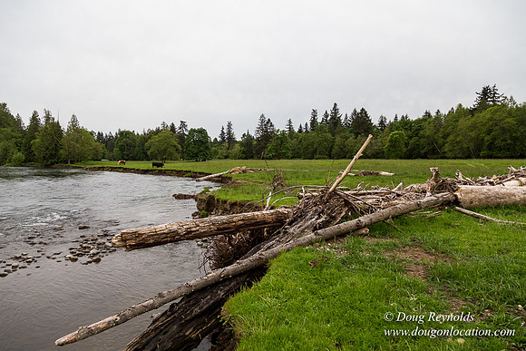 Ranch 21 at River