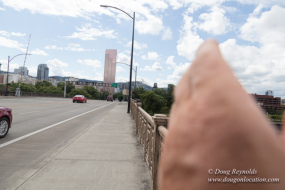 Portland Streets